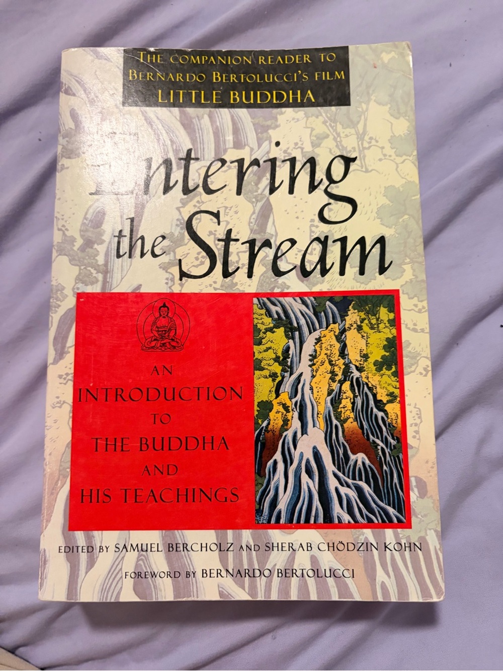 Entering the Stream — Introduction to the Buddha (Paperback)